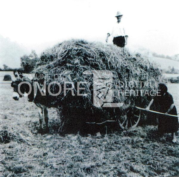 Onore, località Ombregno