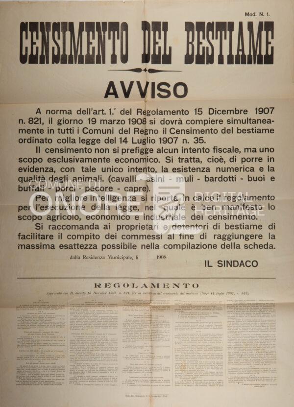 Censimento del bestiame 1907